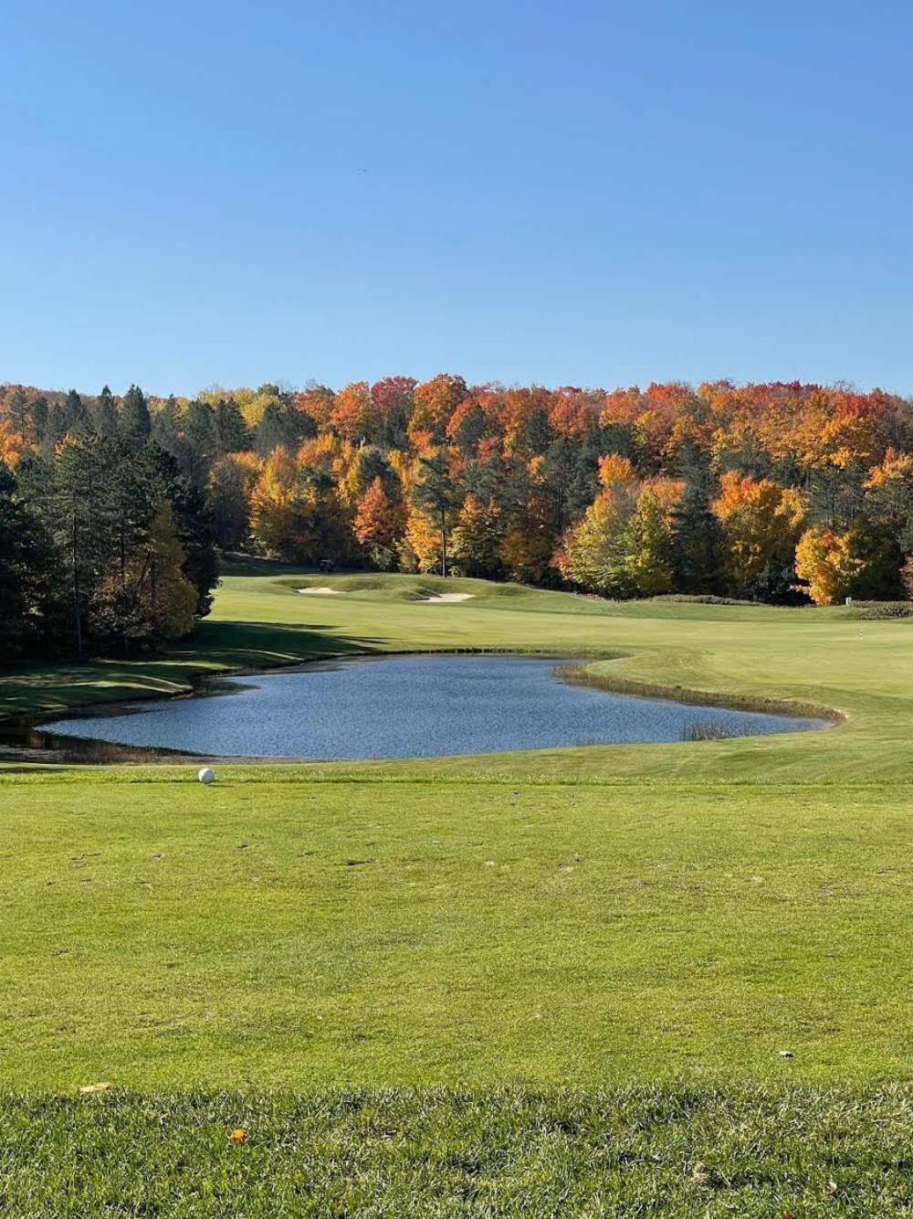 Shanty Creek, Condo, Golf ,Sleeps 4, Pets Welcome! Bellaire Kültér fotó